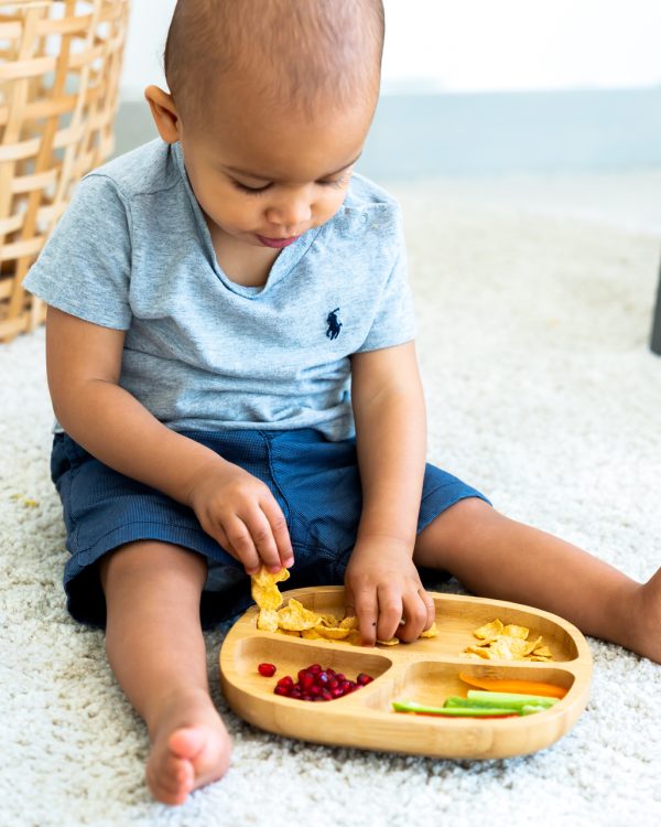 Bamboo Toddler Section Plate with Suction Base