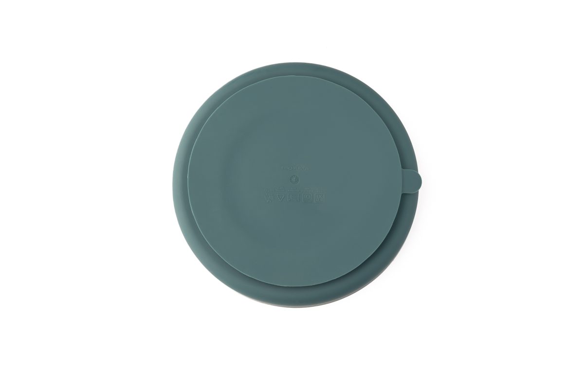 Silicone Plate with Removable Divider